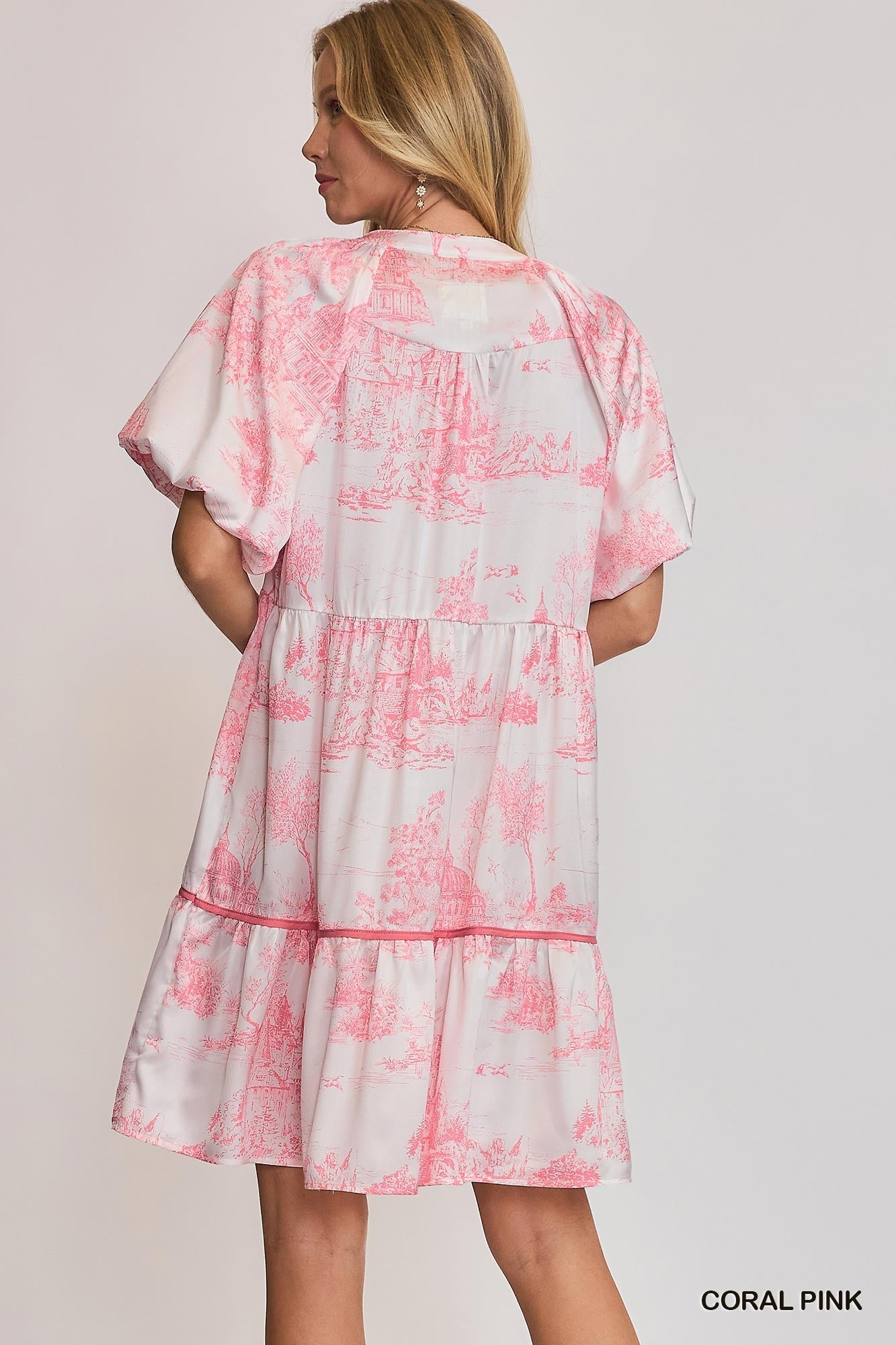 Pink Landscape Printed Dress