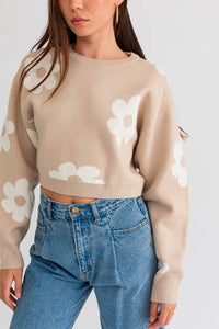 Taupe Daisy Cropped Sweater