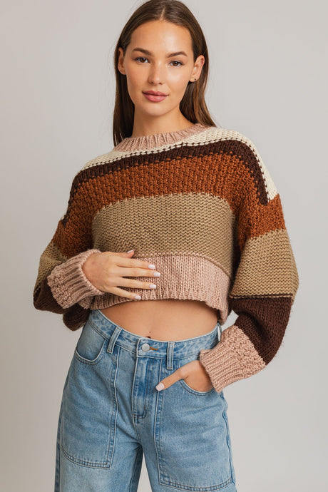 Multi Color Cropped Sweater