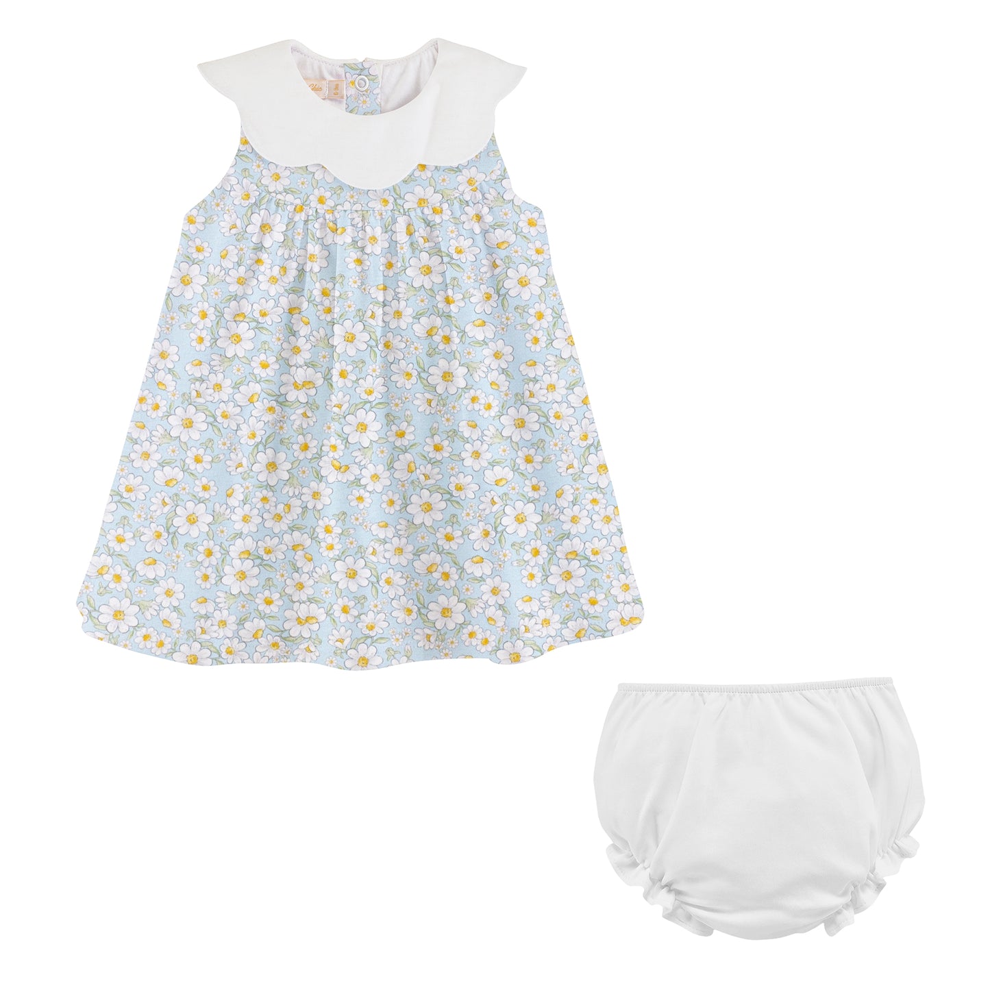 Daisy Dreams W/Scalloped Collar