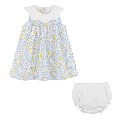 Daisy Dreams W/Scalloped Collar