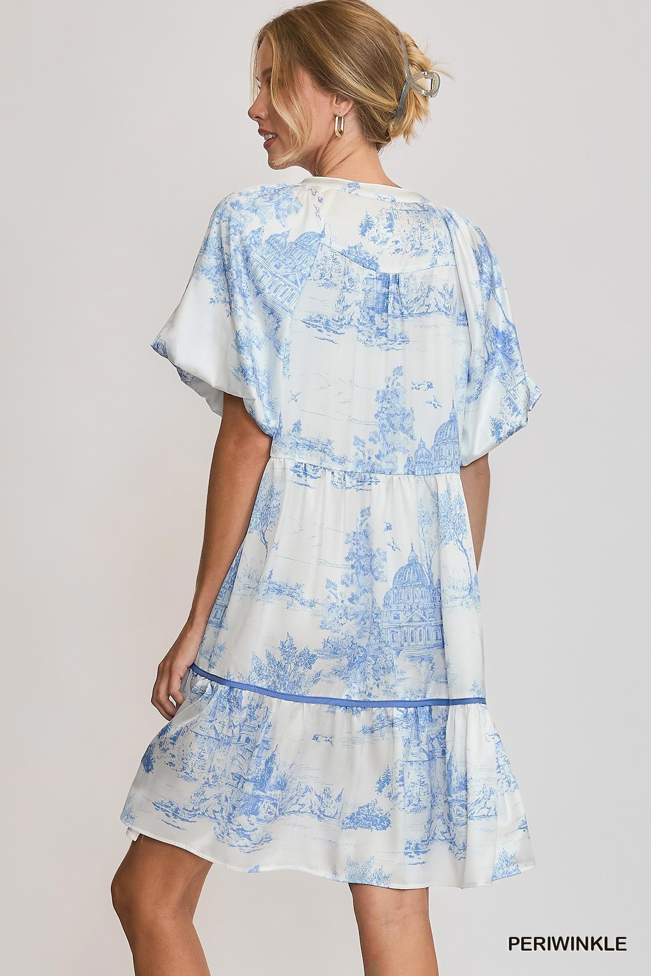 Blue Landscape Printed Dress