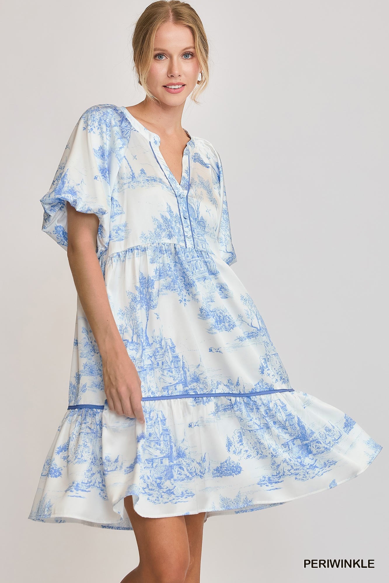 Blue Landscape Printed Dress