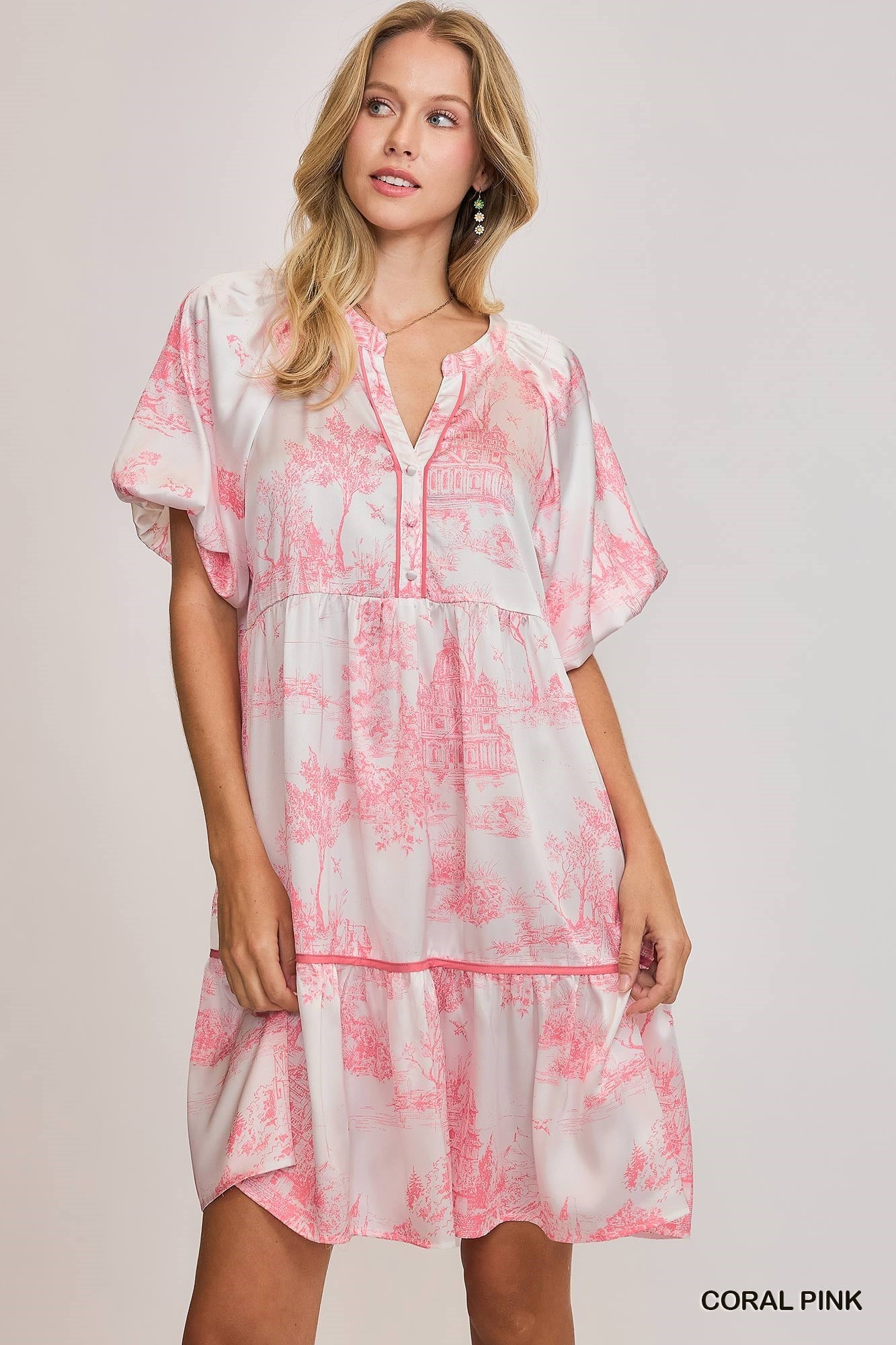 Pink Landscape Printed Dress