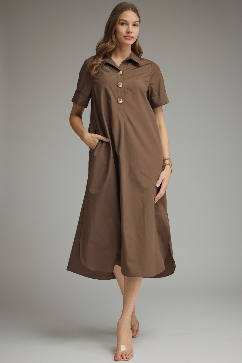 Simply Chic Brown Dress