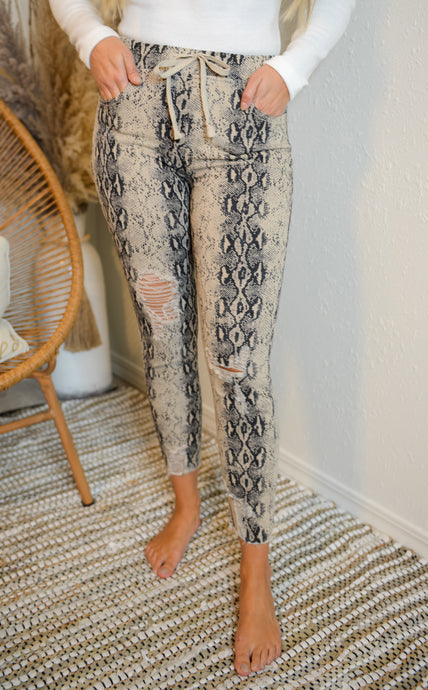 Snake Jogger Pants